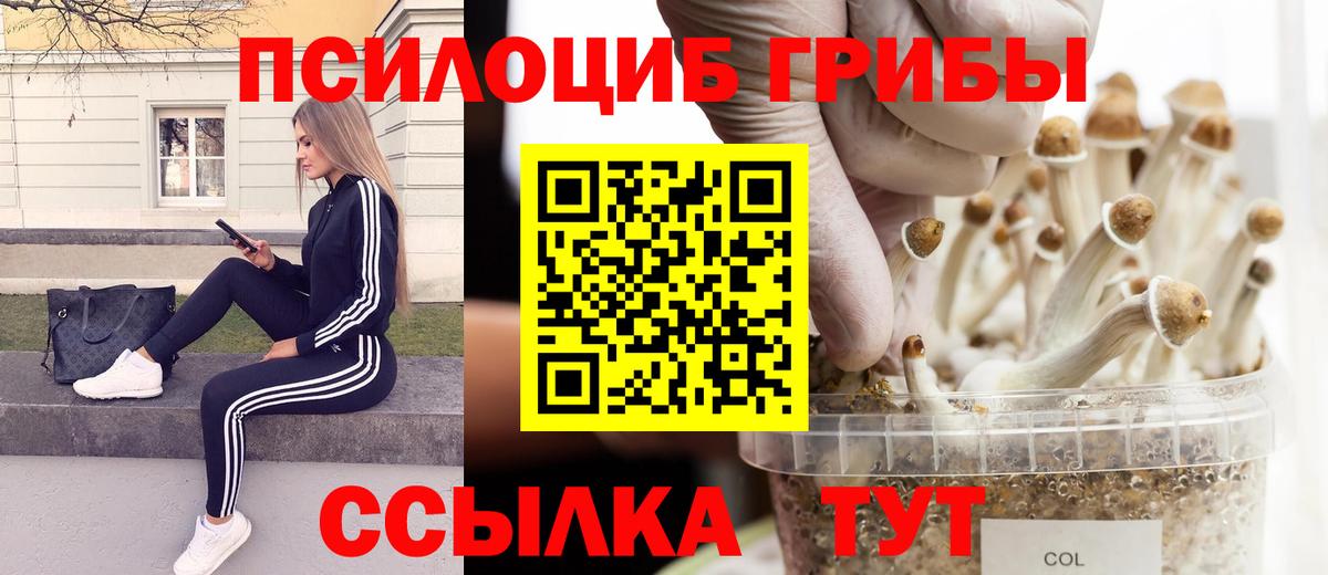 Псилоцибиновые грибы ЛСД  Вход с VPN  Галлюциногенные грибы Cubensis  Североморск 