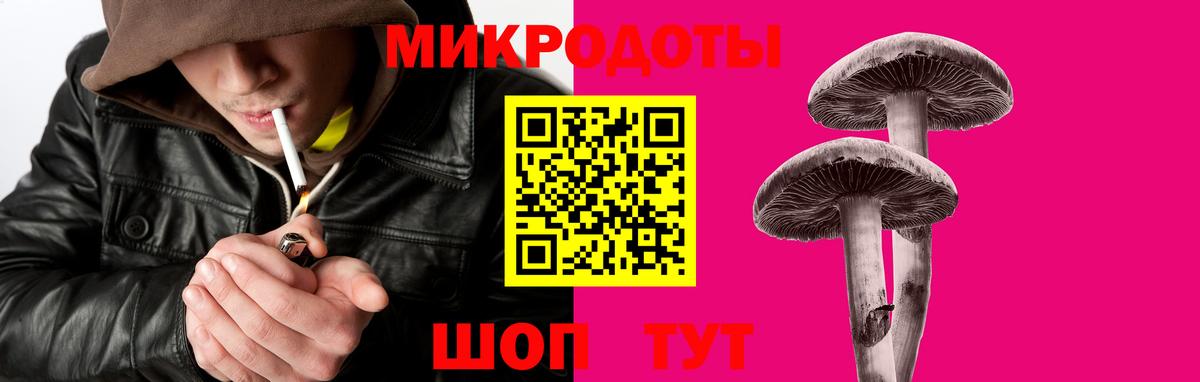 Галлюциногенные грибы Cubensis Североморск